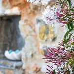 Kyklamino - Sea View, Quietly Defined Apartment Stafylos